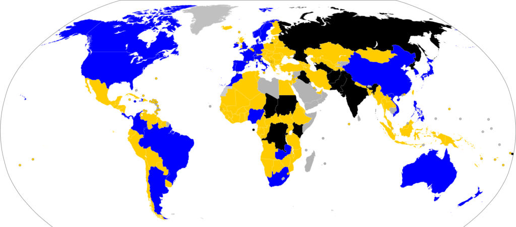 Women's World Cup