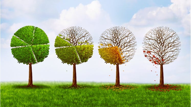 Global Warming leads to Climate Change