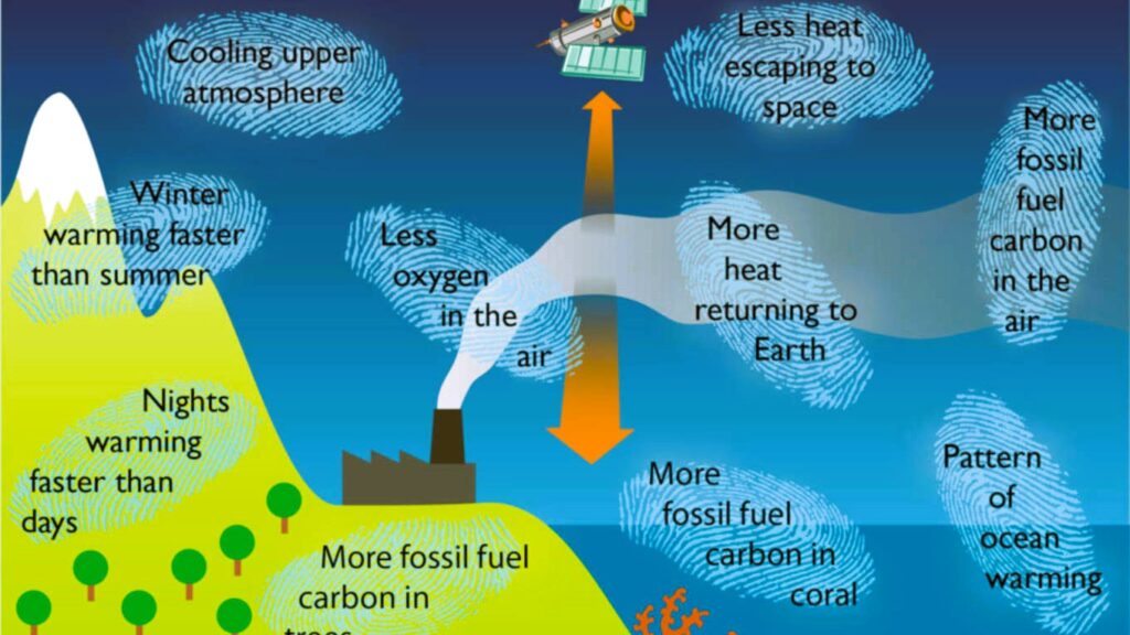Global Warming Human Fingerprints