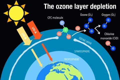 The Ozone Layer