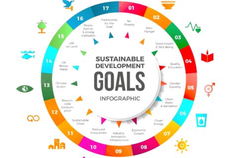 Sustainable Development Goals